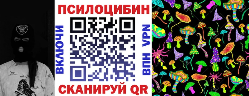 Псилоцибиновые грибы Cubensis  цены   Теберда 